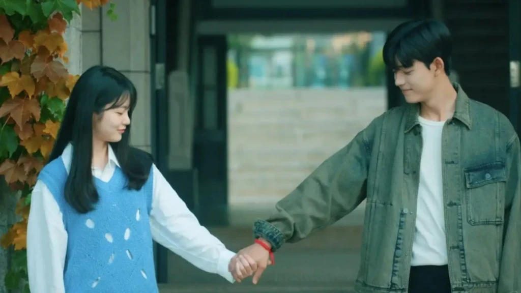 Sinopsis Drama Korea Revenge Of Others